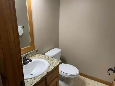 Bath - 333 Willow Oak Ln, Branson, MO 65616 photo 6 of 8