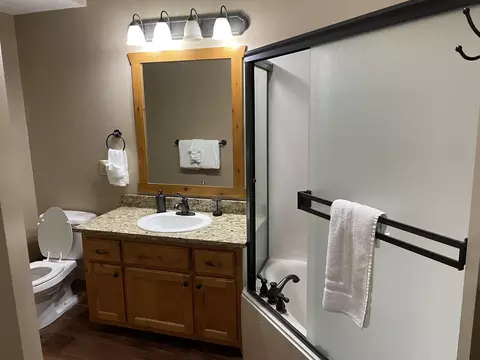 Bath - 333 Willow Oak Ln, Branson, MO 65616 photo 8 of 8