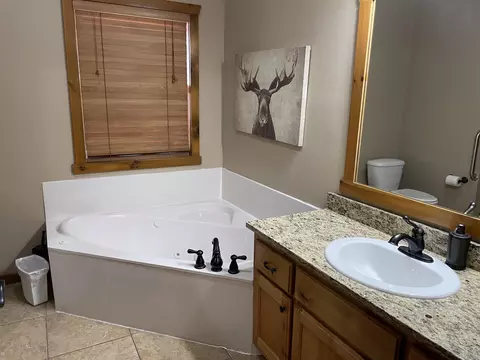 Bath - 333 Willow Oak Ln, Branson, MO 65616 photo 1 of 8