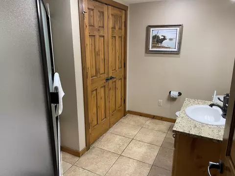 Bath - 333 Willow Oak Ln, Branson, MO 65616 photo 4 of 8