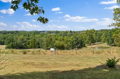 Exterior - 165 Fairview Rd, Sparta, MO 65753 photo 15 of 15