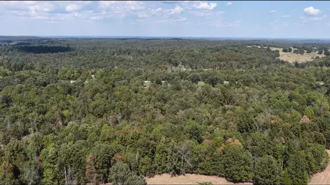 4254 State Highway V, Myrtle, MO 65778 photo 3