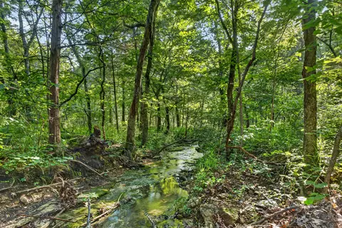 tbd 006 Cantrell Rd, Mansfield, MO 65704 photo 28
