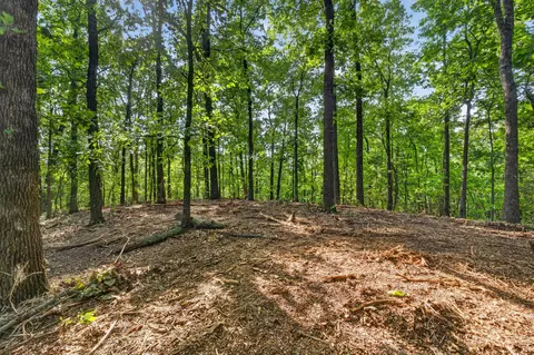 tbd 006 Cantrell Rd, Mansfield, MO 65704 photo 17