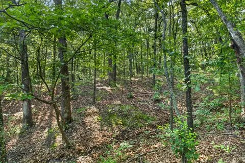 tbd 006 Cantrell Rd, Mansfield, MO 65704 photo 24