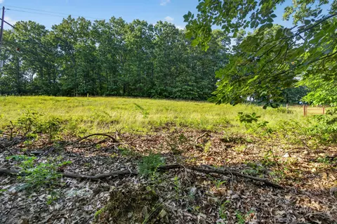 tbd 006 Cantrell Rd, Mansfield, MO 65704 photo 20
