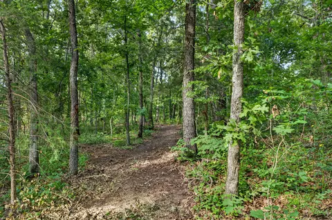 tbd 006 Cantrell Rd, Mansfield, MO 65704 photo 14