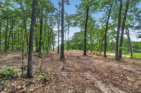 tbd 006 Cantrell Rd, Mansfield, MO 65704 photo 12