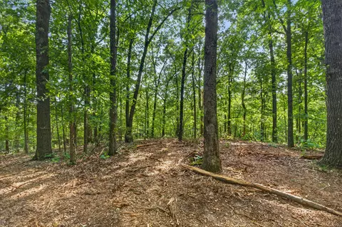 tbd 006 Cantrell Rd, Mansfield, MO 65704 photo 19