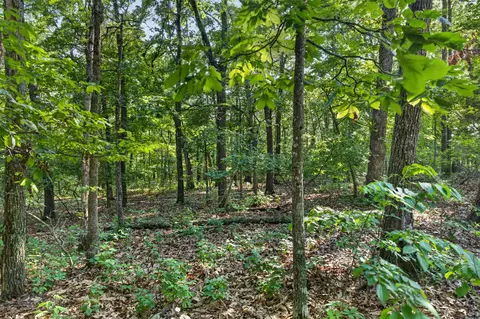 tbd 006 Cantrell Rd, Mansfield, MO 65704 photo 21