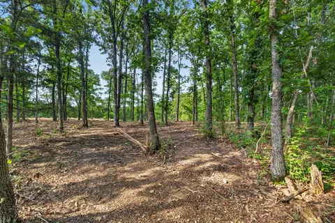 tbd 006 Cantrell Rd, Mansfield, MO 65704 photo 11