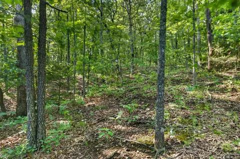tbd 006 Cantrell Rd, Mansfield, MO 65704 photo 25