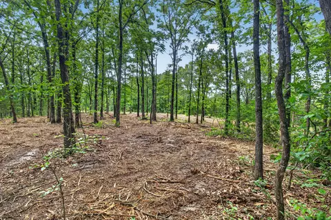 tbd 006 Cantrell Rd, Mansfield, MO 65704 photo 10