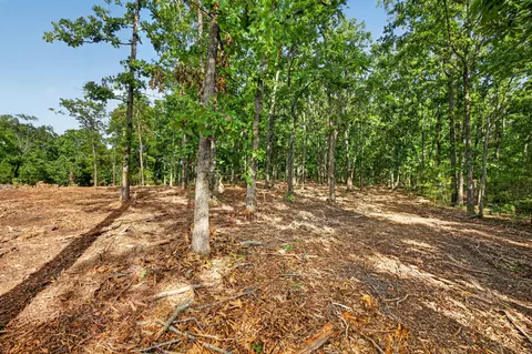 tbd 006 Cantrell Rd, Mansfield, MO 65704 photo 9