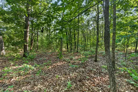 tbd 006 Cantrell Rd, Mansfield, MO 65704 photo 22