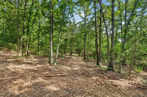tbd 006 Cantrell Rd, Mansfield, MO 65704 photo 13