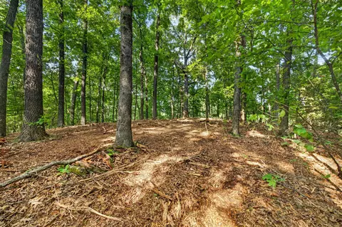 tbd 006 Cantrell Rd, Mansfield, MO 65704 photo 18