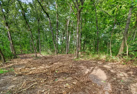 tbd 006 Cantrell Rd, Mansfield, MO 65704 photo 16