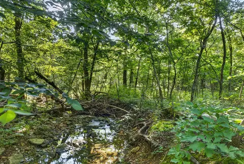 tbd 006 Cantrell Rd, Mansfield, MO 65704 photo 29