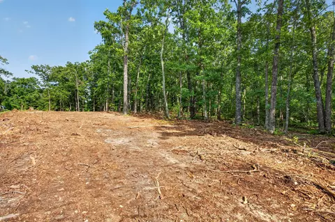 tbd 006 Cantrell Rd, Mansfield, MO 65704 photo 8