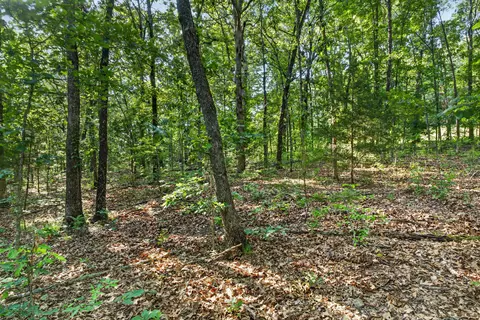 tbd 006 Cantrell Rd, Mansfield, MO 65704 photo 23