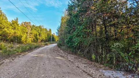 00 Pack Ln, Lampe, MO 65681 photo 11