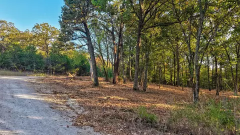 00 Pack Ln, Lampe, MO 65681 photo 13