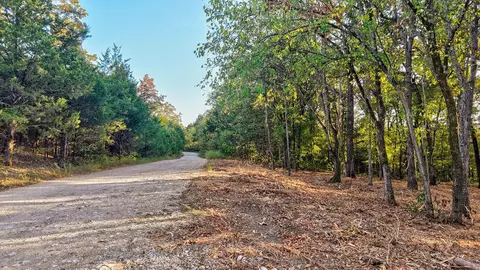 00 Pack Ln, Lampe, MO 65681 photo 12