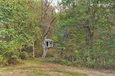 Exterior - 3127 State Highway A, Crane, MO 65633 photo 10 of 10