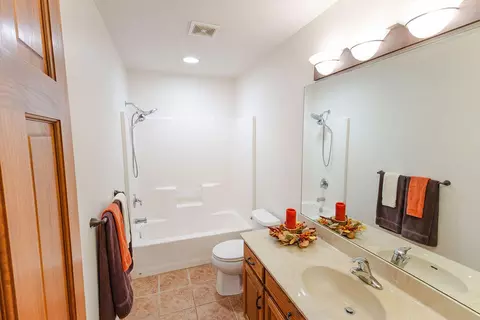 Bath - 3779 N Ashbury Dr, Springfield, MO 65803 photo 6 of 7