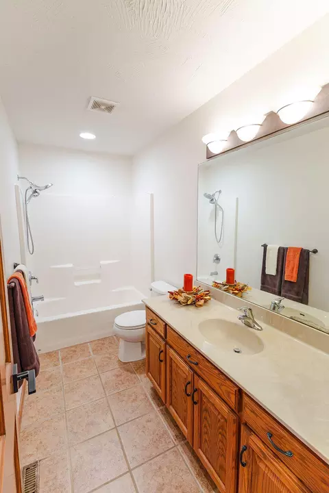 Bath - 3779 N Ashbury Dr, Springfield, MO 65803 photo 7 of 7