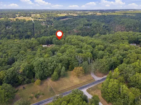 View/Area - 1461 Equestrian Rd, Ozark, MO 65721 photo 6 of 10