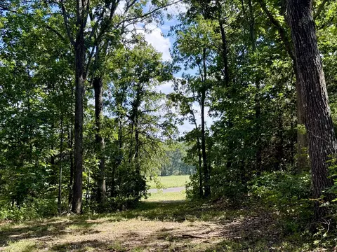 Other - 14999 Highway H, Cabool, MO 65689 photo 21 of 23