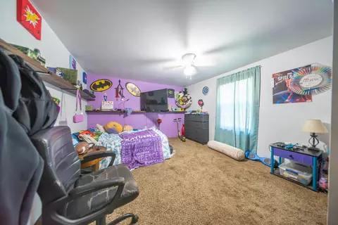 Bedroom - 7777 Jayson St, Birch Tree, MO 65438 photo 3 of 3