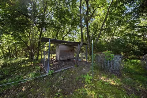 Exterior - 212 Primrose Ln, Clever, MO 65631 photo 9 of 10