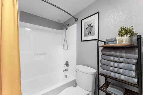 Bath - 490 Abby Ln #1, Branson, MO 65616 photo 2 of 2