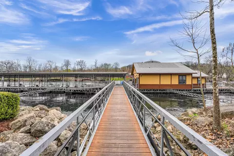 Other - 490 Abby Ln #1, Branson, MO 65616 photo 8 of 8