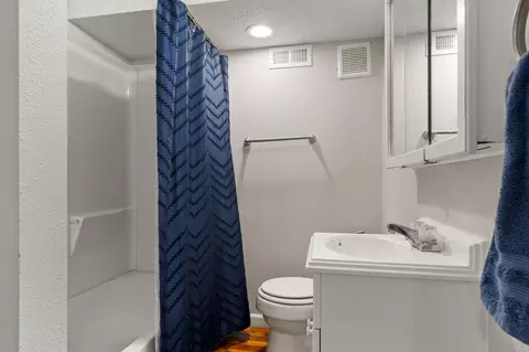 Bath - 660 Ellison St, Branson, MO 65616 photo 3 of 3