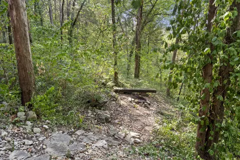 Exterior - 660 Ellison St, Branson, MO 65616 photo 3 of 3