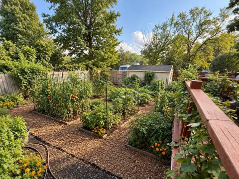 Exterior - 205 N Harrison St, Mountain View, MO 65548 photo 7 of 36