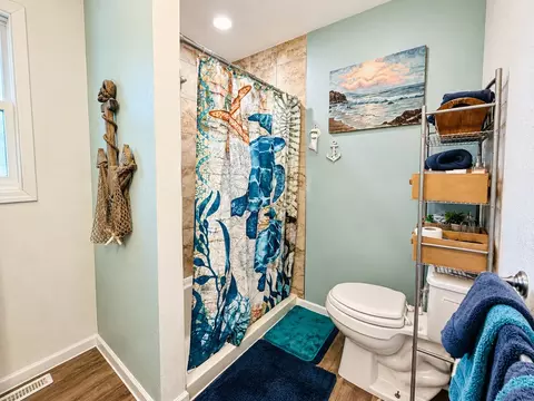Bath - 205 N Harrison St, Mountain View, MO 65548 photo 3 of 6