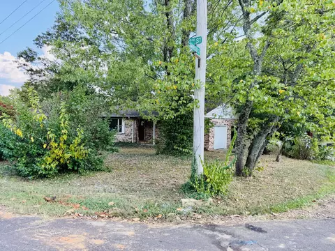 Exterior - 205 N Harrison St, Mountain View, MO 65548 photo 33 of 36