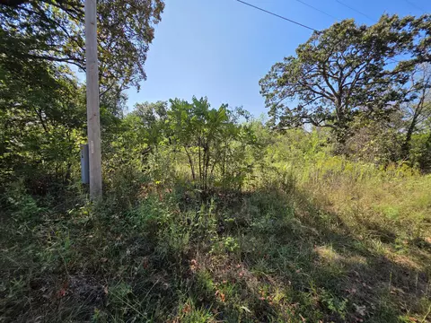 000 E Abbott Rd, Schell City, MO 64783 photo 5