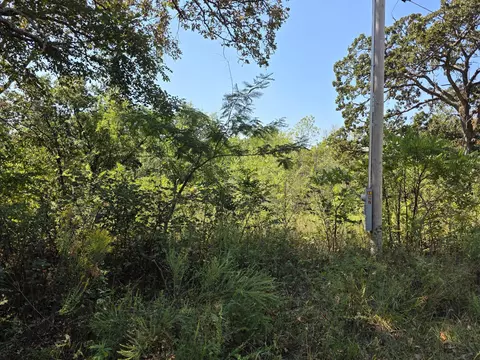 000 E Abbott Rd, Schell City, MO 64783 photo 4