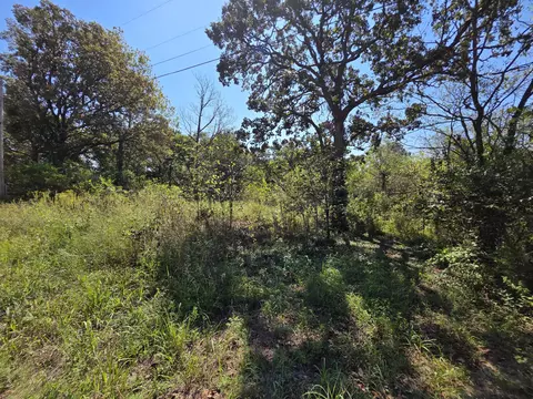 000 E Abbott Rd, Schell City, MO 64783 photo 2