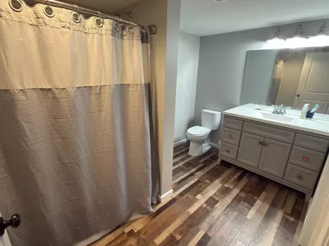 Bath - 125 Dunn Rd, Walnut Shade, MO 65771 photo 4 of 4