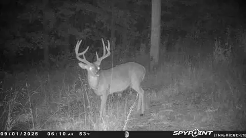 Other - 125 Dunn Rd, Walnut Shade, MO 65771 photo 11 of 12