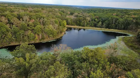 tbd County Road 427 #NNN, Cross Timbers, MO 65634