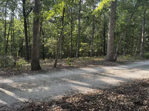 Nnnn Coyote Ridge Road #50, Cassville, MO 65625