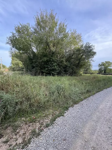 000 County Road 203, Couch, MO 65690 photo 4